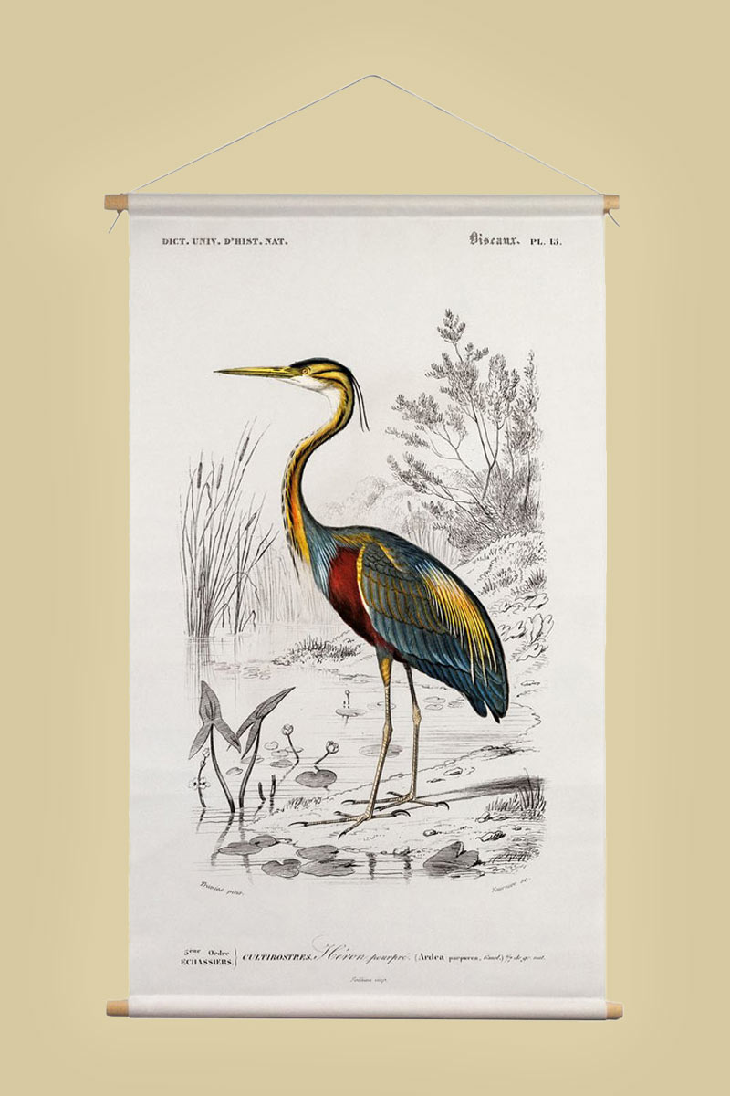 Textielposter met leren koord - Illustratie Reiger D'Orbigny