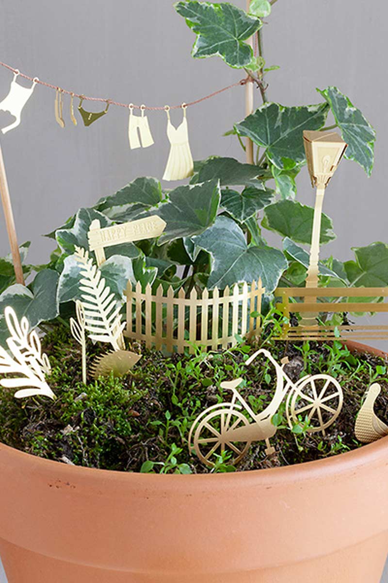 Klein Fietsavontuur voor je Planten