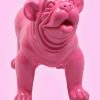 Bulldog Fuchsia 1