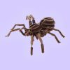Bouwpakket 3D Papier Puzzel Spider