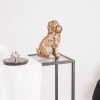 Golden Labradoodle 3