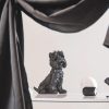 Terrier Dog Black