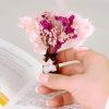Brievenbusdoosje Droogbloemen Met Bruin Vaasje Multi