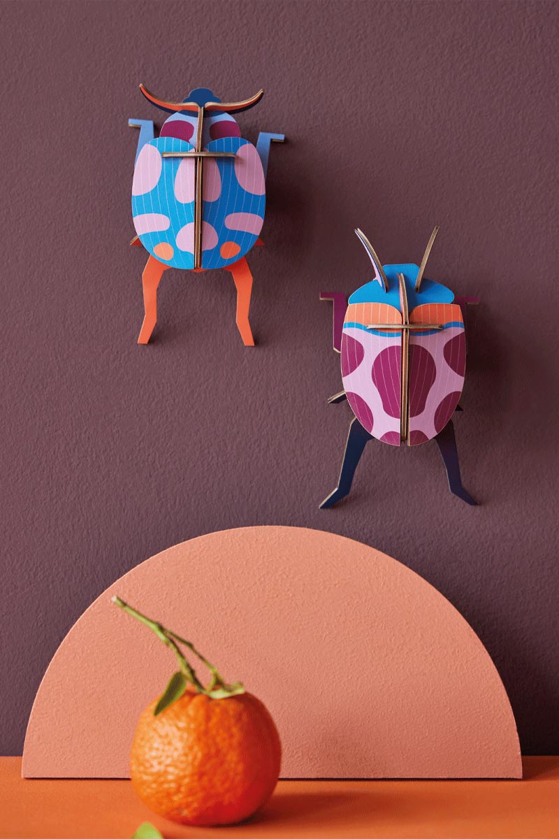 Coccinelle Couple - Studio ROOF