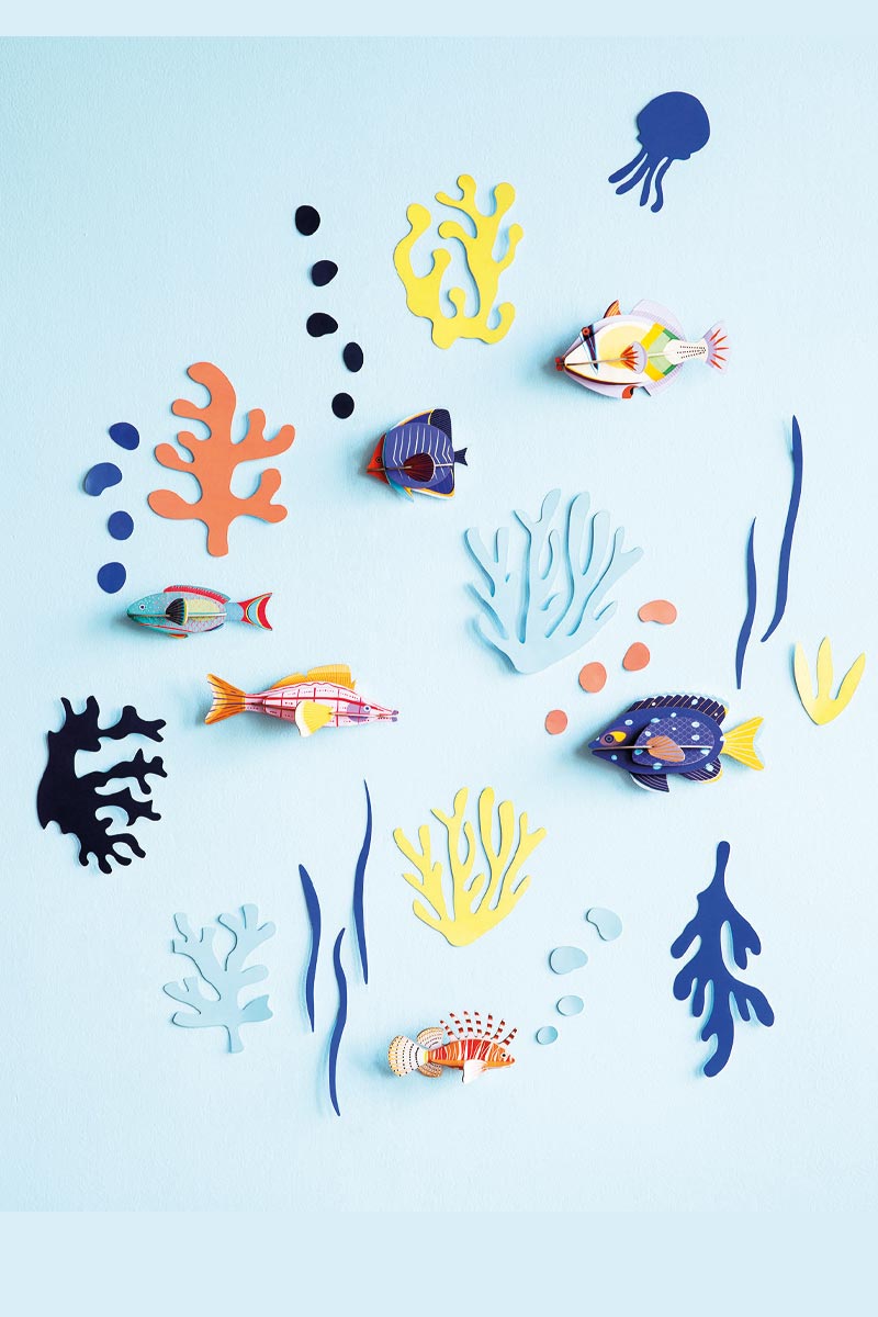 Wall of Curiosities - Fish Hobbyist - Studio ROOF