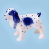 Miniatuur Cockerspaniel 1