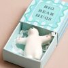 Big Bear Hugs Tiny Matchbox