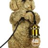 lamp boomer goud