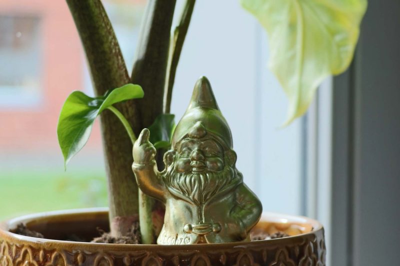 Kabouter F*ck You - Self-Watering Spike White - Afbeelding 2