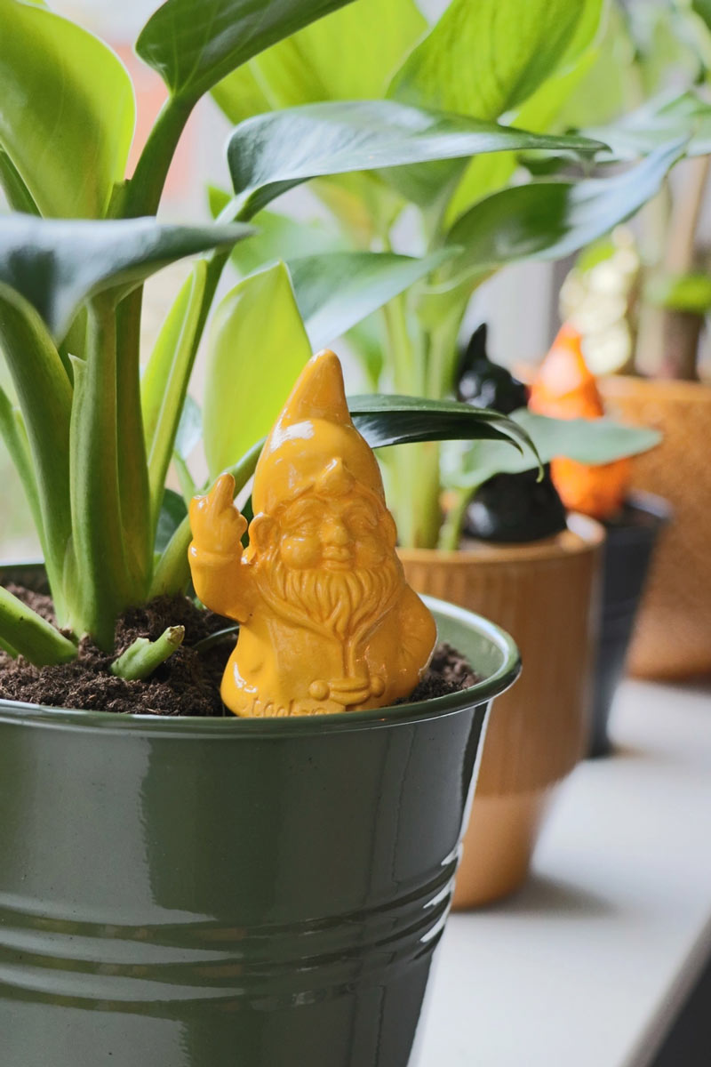 Kabouter F*ck You - Self-Watering Spike Yellow