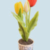 Bloempotje Met Tulpen