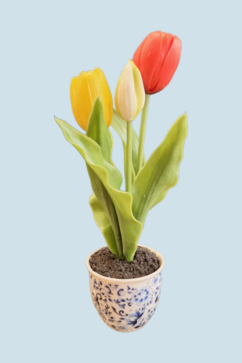 Bloempotje met Tulpen