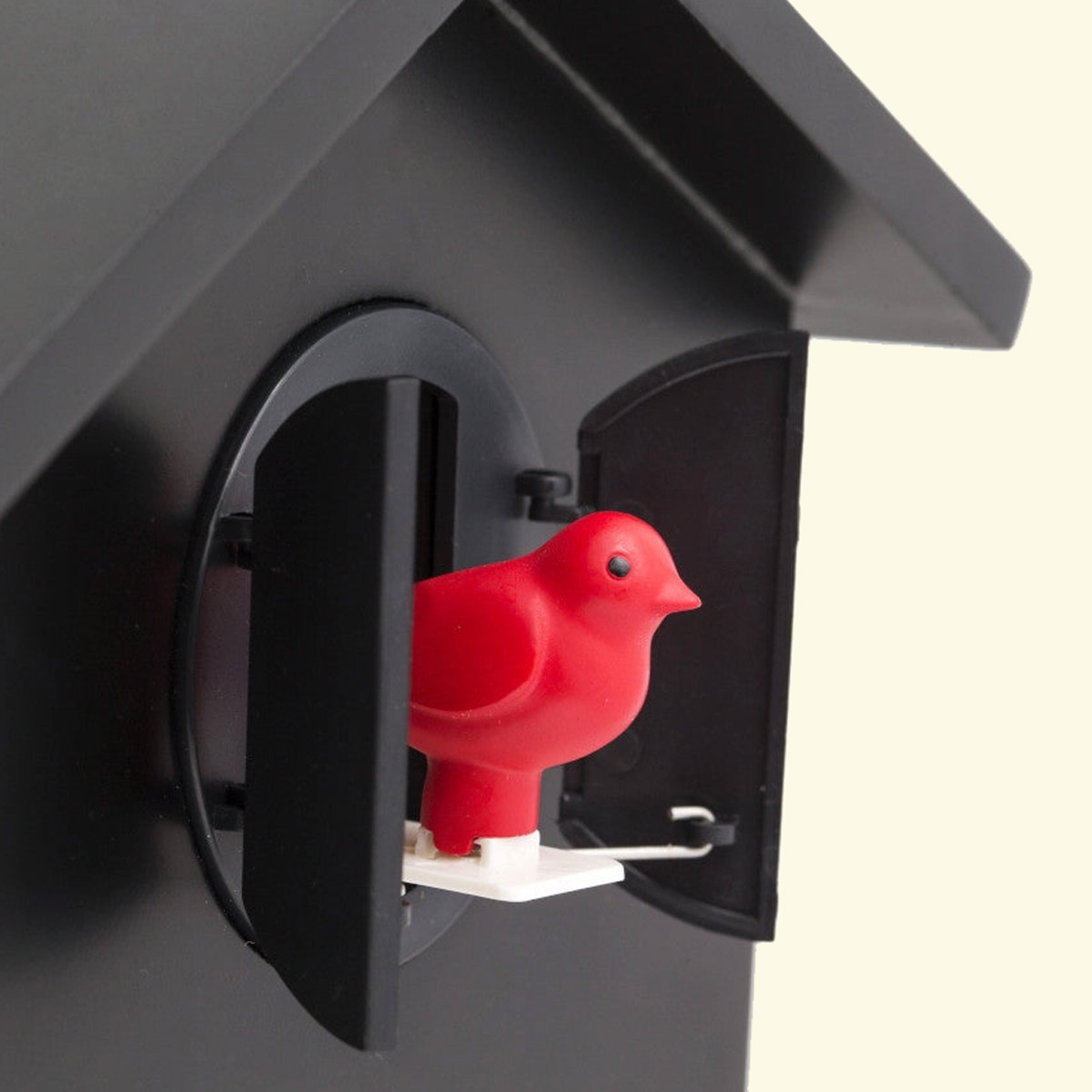 Koekoeksklok Vogels Zwart 1
