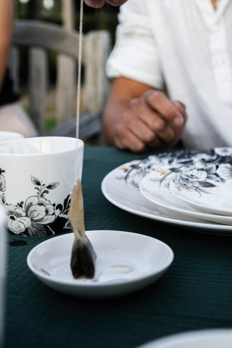 Alternative view of Theezakhouder Avondbloem